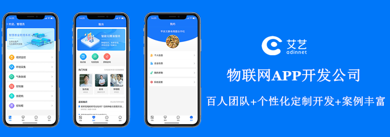周边助手:本地生活服务平台开发的核心入口与落地实践